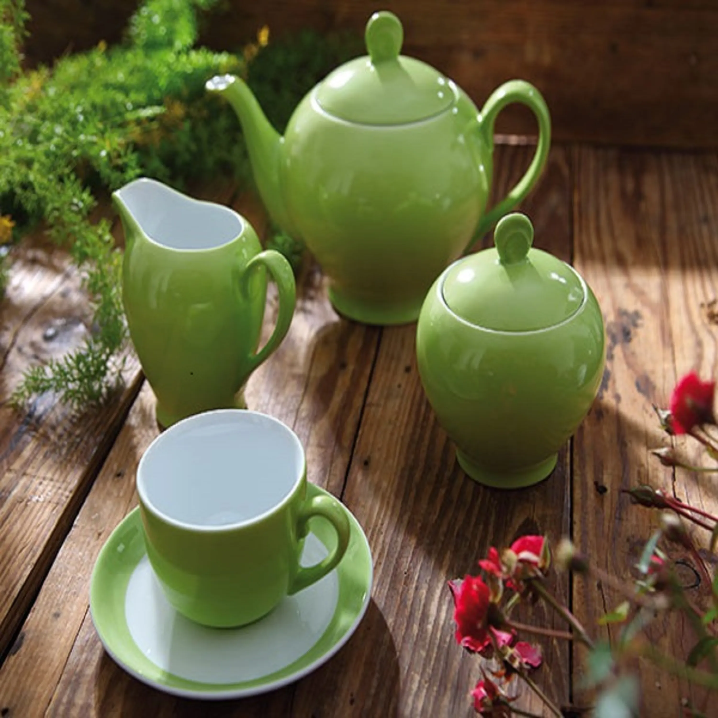 سرویس چینی زرین 6 نفره  12 پارچه چای خوری پسته